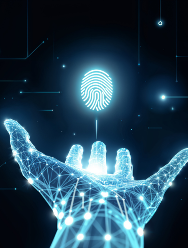 IT infrastructure Setup and Maintenance in Qatar